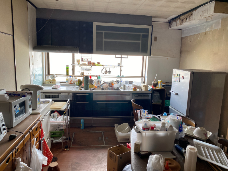 detached 山見（下山見）